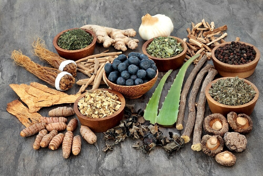 Herbal Remedies and Their Role in Elderly Health Care