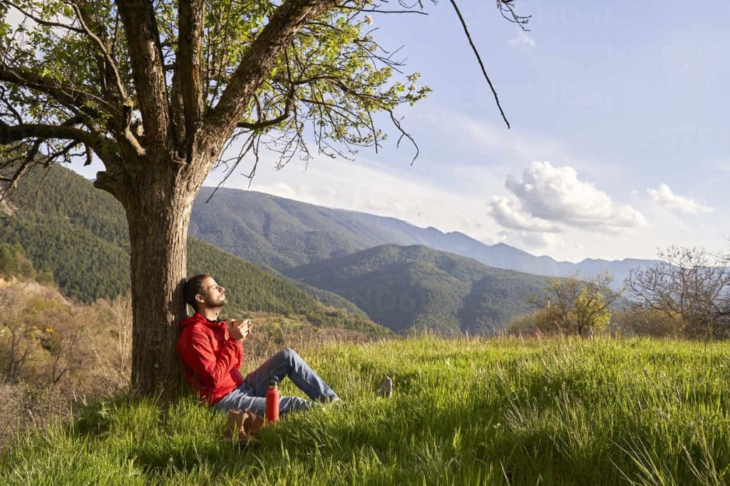 How Living Near Nature Boosts Health